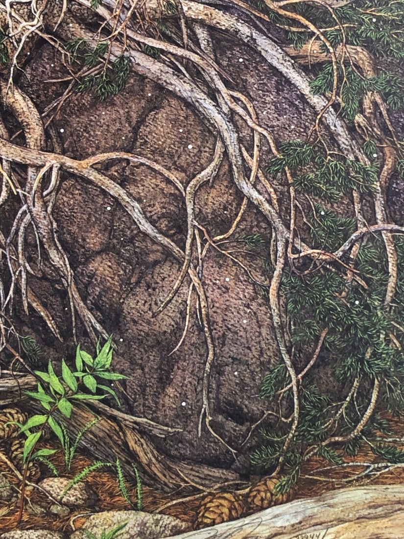 Bev Doolittle "Prayer For The Wild Things" Signed Lithograph LE - 3