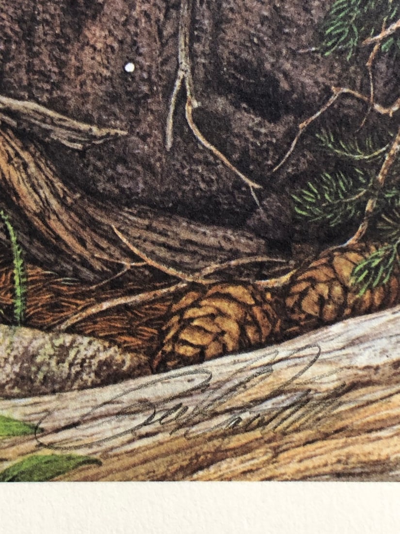 Bev Doolittle "Prayer For The Wild Things" Signed Lithograph LE - 4