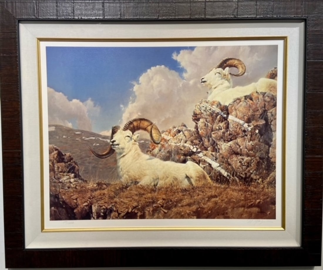 Nancy Glazie "Dall Sheep Primrose Ridge" Signed Litho LE: Artist: Nancy Glazier Title: Nancy Glazie "Dall Sheep Primrose Ridge" Signed Litho LE Medium: Lithograph on Paper Limited Edition: 29/1500 Art Dimensions: 27 x 32 x 2 inch ARTIST BIO: Nancy Glazier