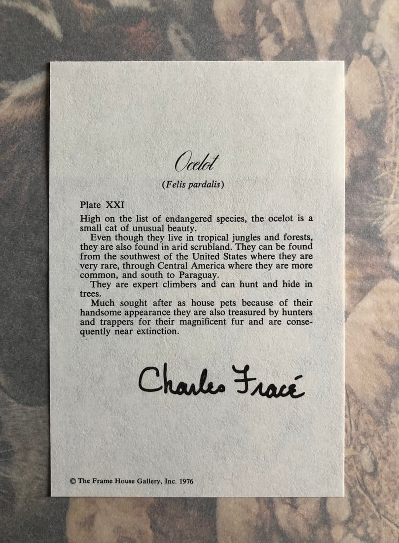 Charles Frace "Ocelot Kittens" Signed Lithograph LE - 7
