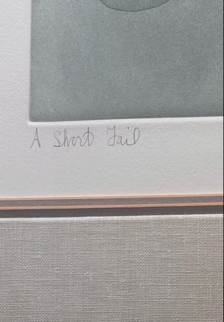 Beki Killorin "A Short Tail" Signed Embossed Etching - 5