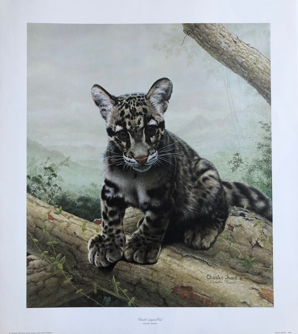 Charles Frace "Clouded Leopard Cub" Signed Litho LE: Artist: Charles Frace Title: Charles Frace "Clouded Leopard Cub" Signed Litho LE Medium: Lithograph on Paper Limited Edition: Collector Print Art Dimensions: 25 x 22 x 1 inch ARTIST BIO: Charle