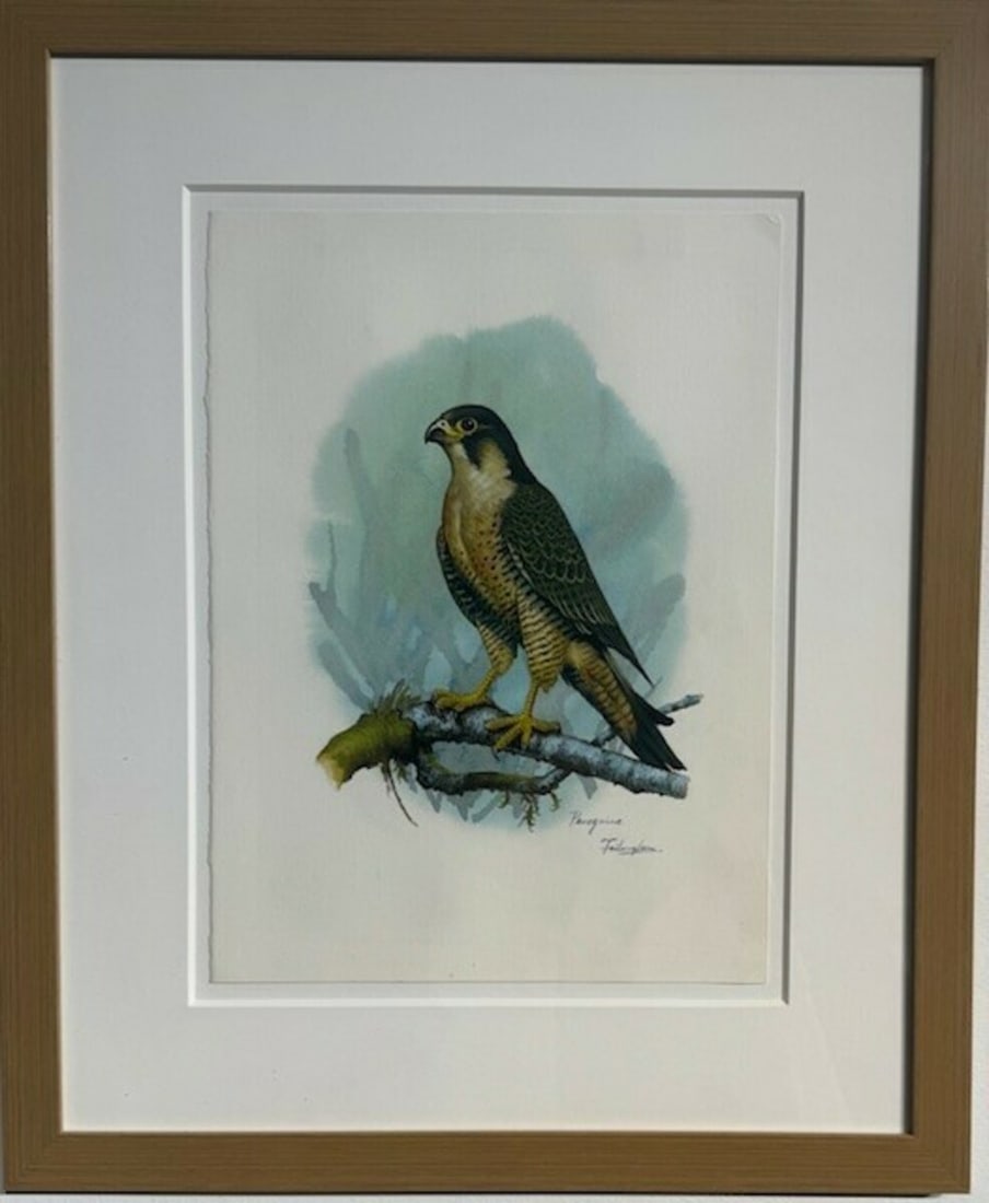 David Failingham "Peregrine" Signed Original Watercolor on Paper: Artist: David Failingham Title: David Failingham "Peregrine" Signed Original Watercolor on Paper Medium: Watercolor on Paper Art Dimensions: 19 x 23 x 1 inch Source: www.qart.com Condition Report:
