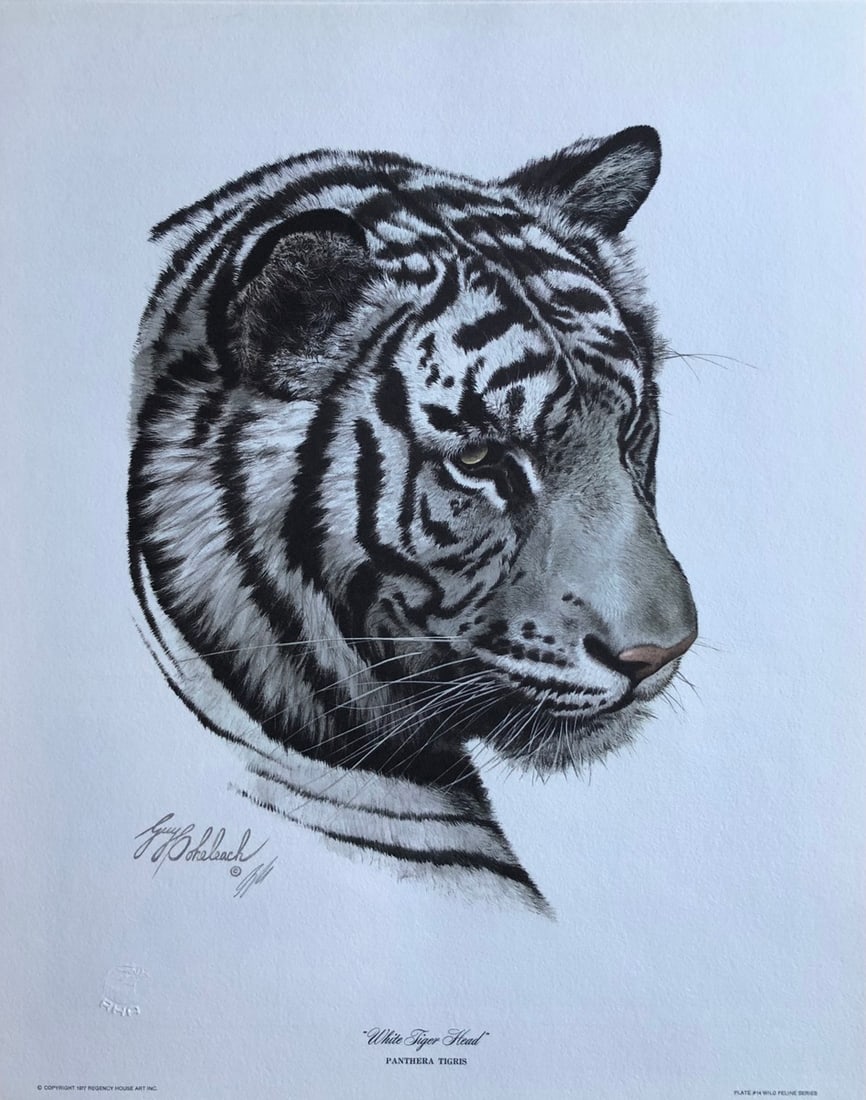 Guy Coheleach "White Tiger Head" Signed Lithograph: Artist: Guy Coheleach Title: Guy Coheleach "White Tiger Head" Signed Lithograph Medium: Lithograph on Paper Art Dimensions: 20 x 16 x 1 inch ARTIST BIO: From 1991 through 2011, Guy Coheleach has had o