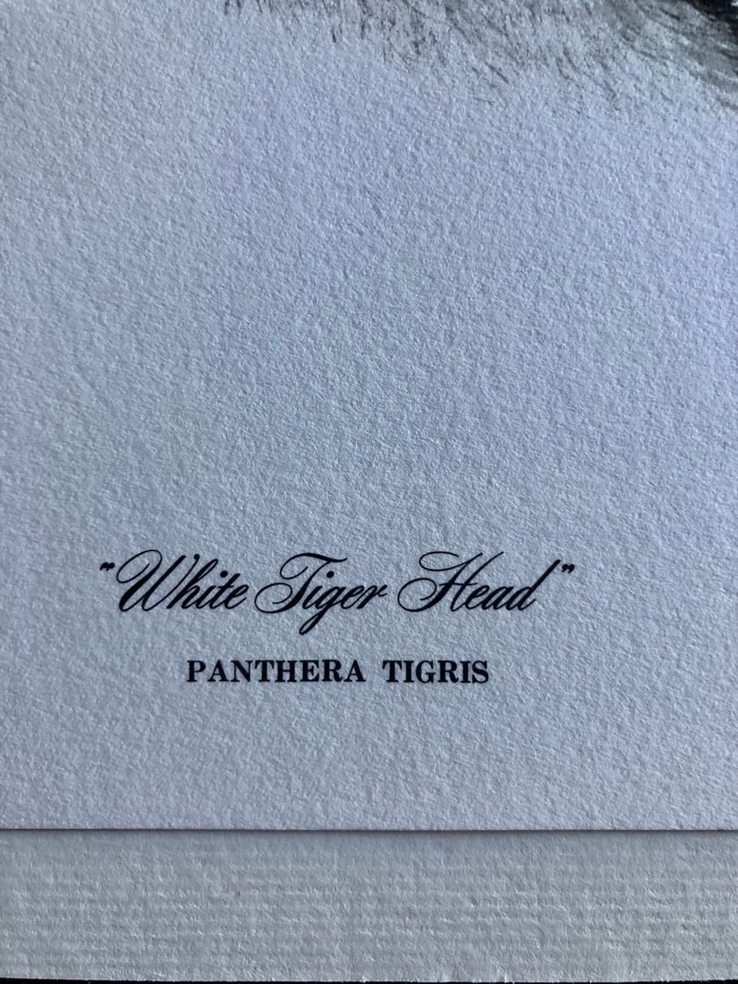Guy Coheleach "White Tiger Head" Signed Lithograph - 4