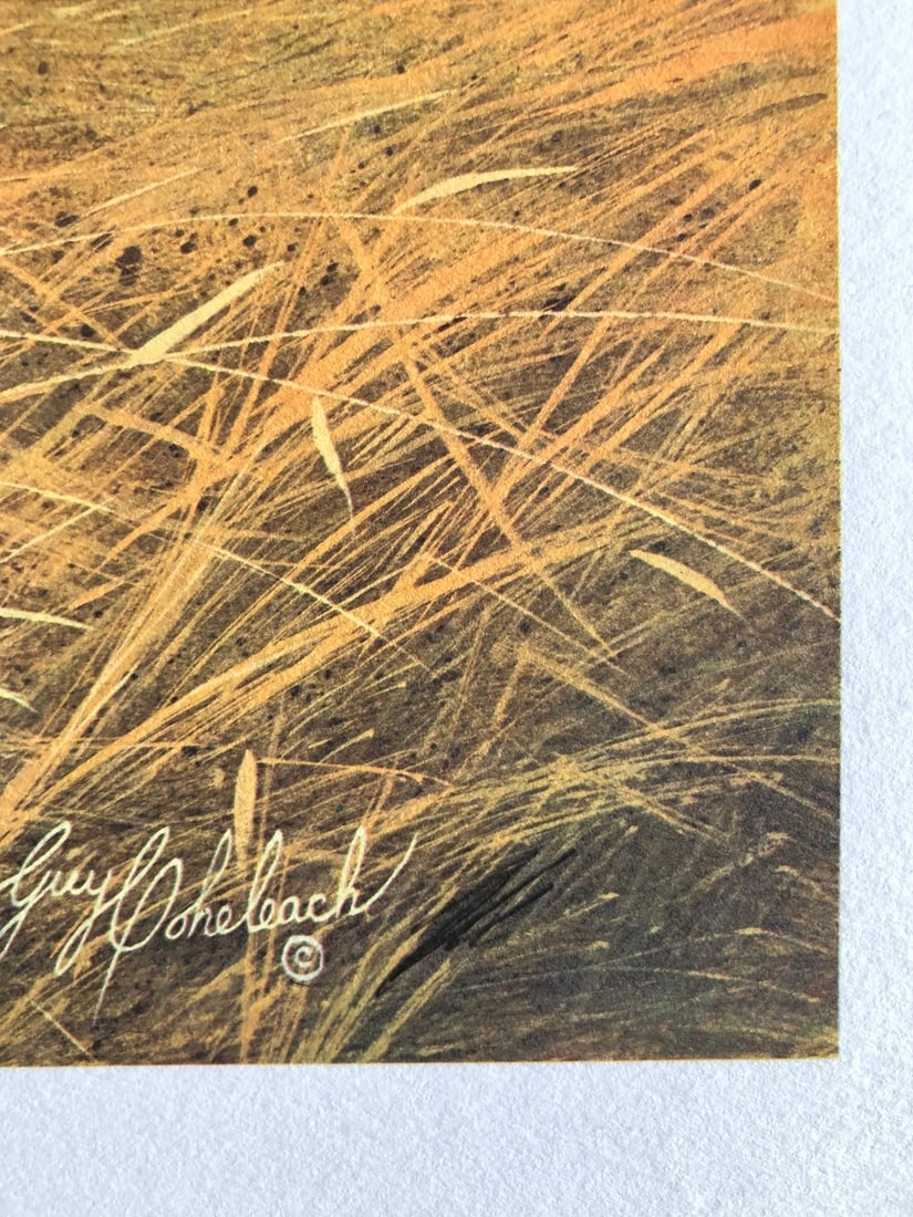 Guy Coheleach "Short Eared Owl" Signed Lithograph - 3