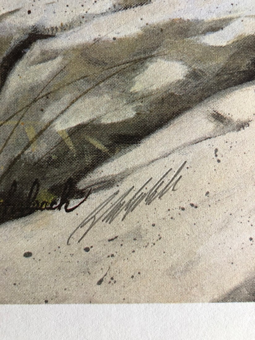 Guy Coheleach "Leopard's Lair" Signed Lithograph - 3