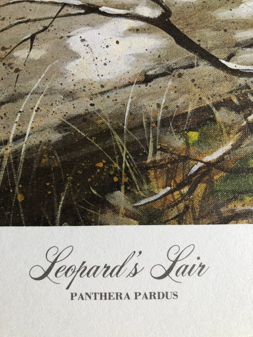 Guy Coheleach "Leopard's Lair" Signed Lithograph - 4