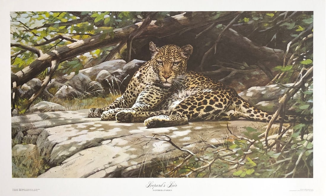 Guy Coheleach "Leopard's Lair" Signed Lithograph: Presenting a Lithograph on Paper by Guy Coheleach: "Guy Coheleach "Leopard's Lair" Signed Lithograph". This work, measuring 15.5 x 25.5 x 1 inch, is available now at auction on LiveAuctioneers.