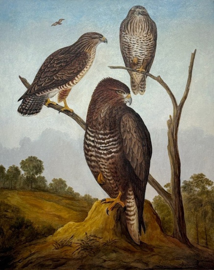 H. Kimble (Signed) - Buzzards, Original Oil Painting on Canvas, 24 x 30 in: Offered here is an original Original Oil on Canvas by H. Kimbel: "H. Kimble (Signed) - Buzzards, Original Oil Painting on Canvas, 24 x 30 in". This one-of-a-kind piece, measuring 24 x 30 inch, is a ra