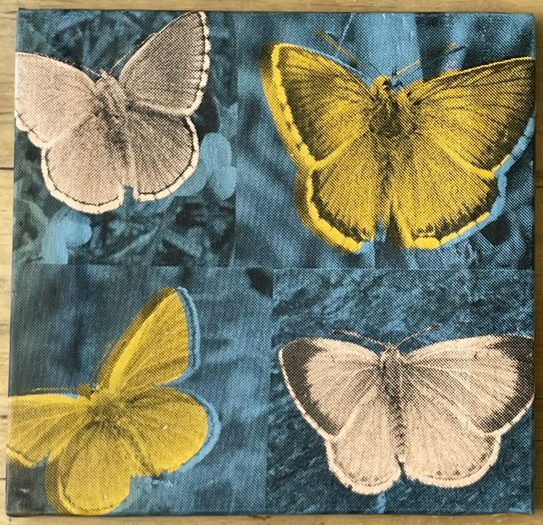 Butterflies, turquoise by Steve Kaufman (1 of 1)