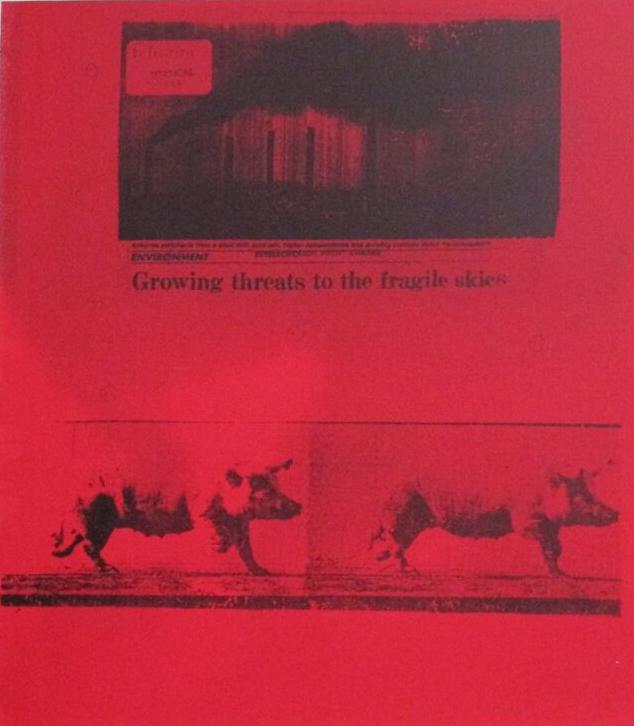Plate XIII Growing Threats, Carl Beam: Carl Beam Lithograph Titled Plate XIII Growing Threats is a newspaper article and two pigs on a bright red background. Measuring 48.5 x 32