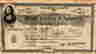 item-113290331=4