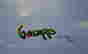 item-113290332=2