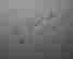 item-113290332=3