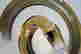 item-113290341=2