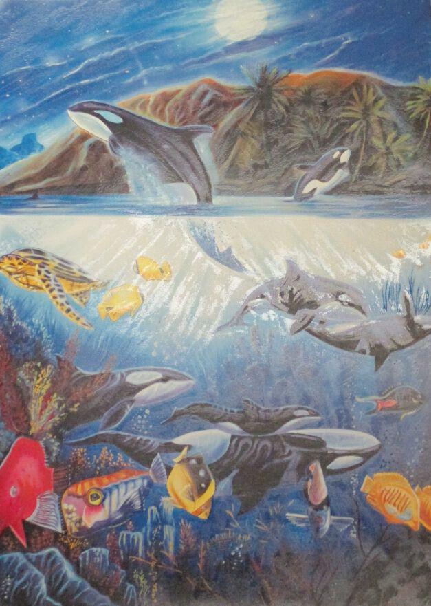 Play Time, David D Zion: David D. Zion Lithograph, Signed, Numbered, and Titled Play Time is pod of killer whales with one jumping out of the water. Measuring 27x 19.5