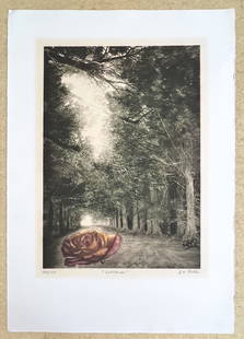 Solitude by G.H. Rothe: Solitude by G.H. RotheThis is a limited edition lithograph numbered 140/150 hand signed by G.H. Rothe. Measures 30 x 21 in.