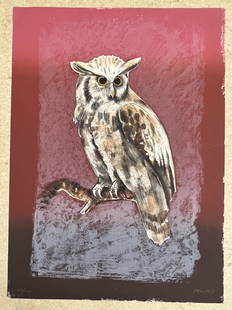 Owl by P Enuto: Owl by P EnutoThis is a limited edition lithograph numbered 126/130 hand signed by P. Enuto. Measures 27 x 20 in.