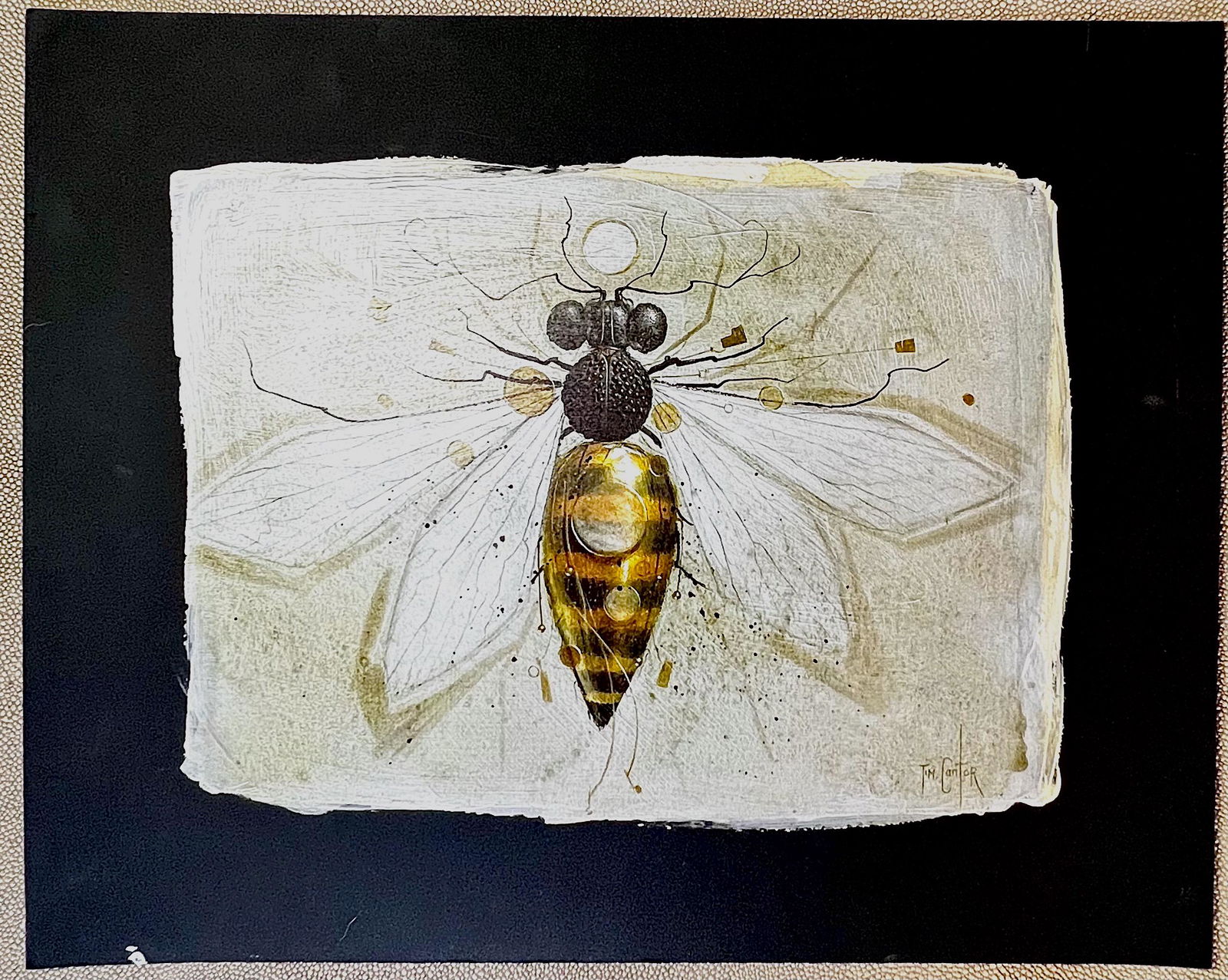 Chia Scurro Bee by Tim Cantor (1 of 1)