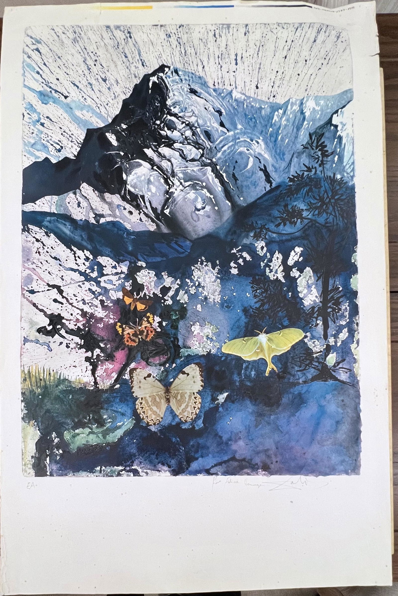 Abstract with Butterflies by Dali (1 of 2)