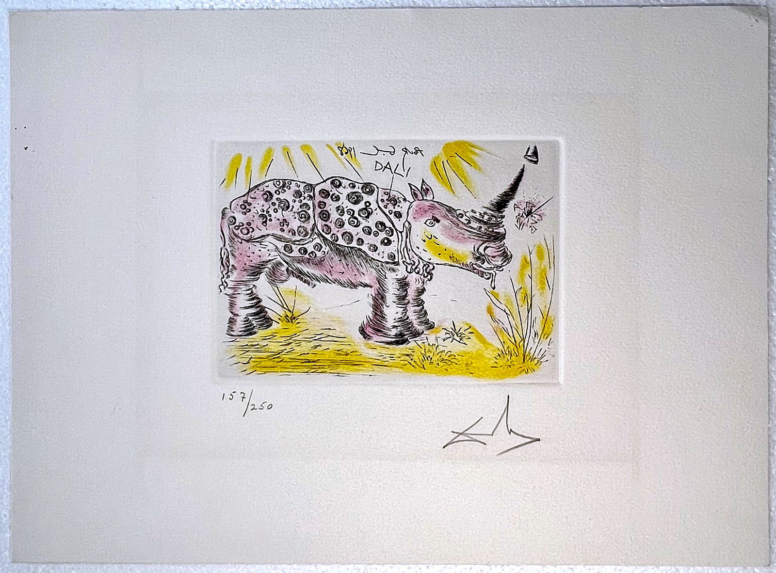 Rhino Dali Etching by Salvador Dali (1 of 1)