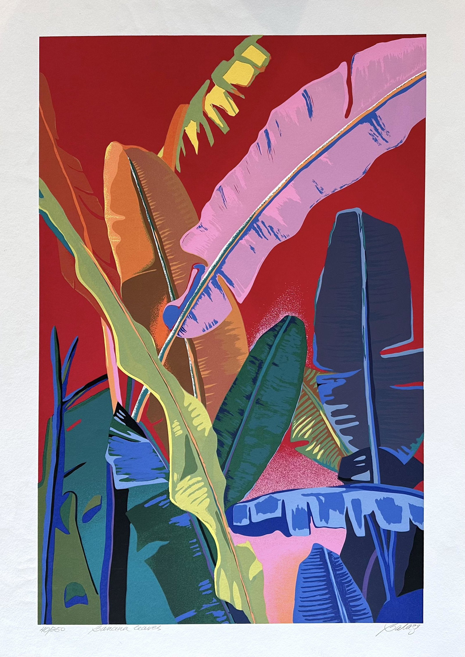 Banana Leaves 40/250 by Balazs Szabo (1 of 3)