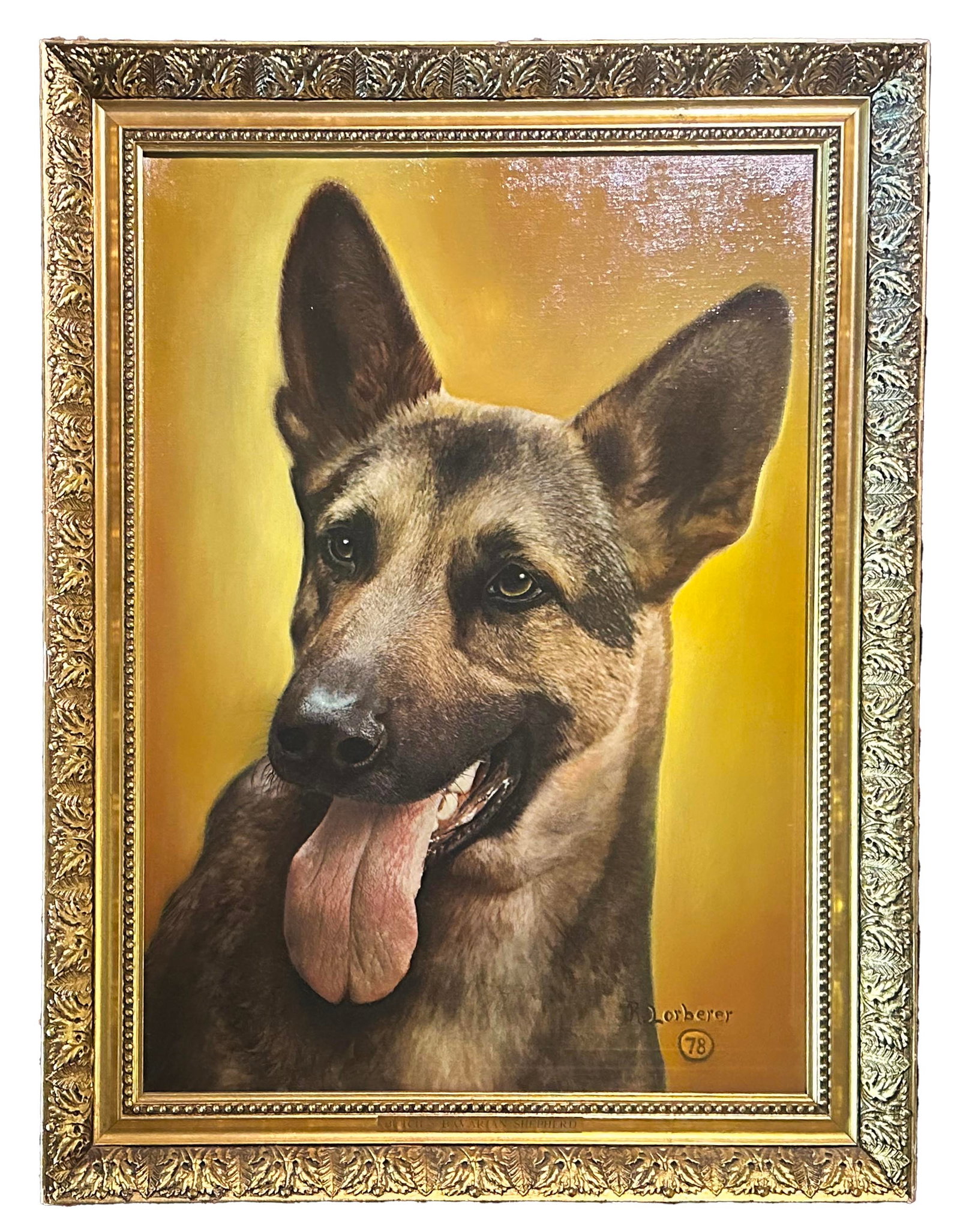 German Shepard by Robert Lorberer (1 of 1)