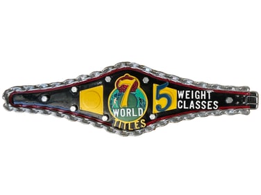 Oscar De La Hoya World Championship Belt