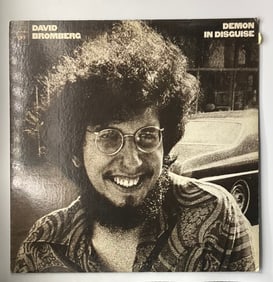 David Bromberg Record