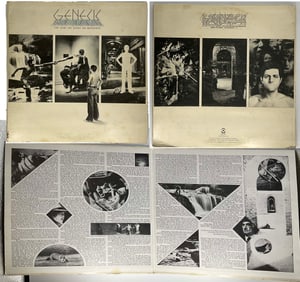 Genesis Record