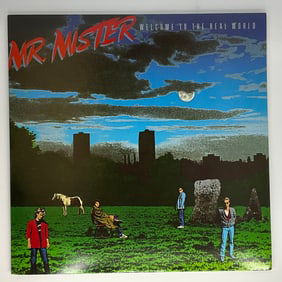 Mr Mister Record