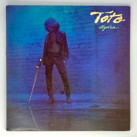 Toto Record