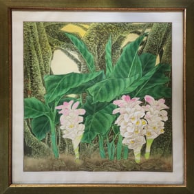 Pink Curcuma Flowers - Chinese Watercolor by Yitao Liu