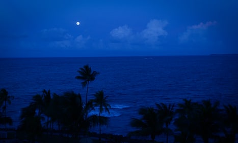 Moonlight in Puerto Rico - Metal Print by Glenn Stokes