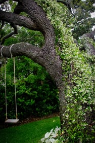 Swing in Park - Metal Print by Glenn Stokes