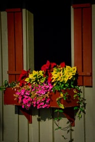 Window Box at Point Clear Alabama - Metal Print by Glenn Stokes