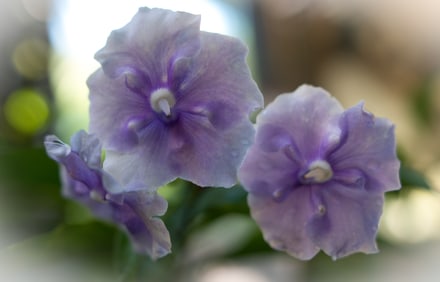 Yesterday Today and Tomorrow - Metal Print by Glenn Stokes