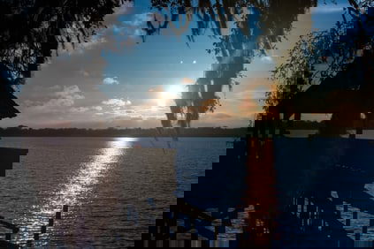 Rip Van Winkle Garden Louisiana - Metal Print by Glenn Stokes