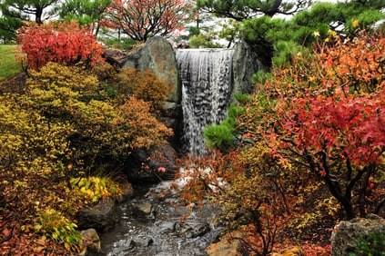 Fall Display in Japanese Garden - Metal Print by Glenn Stokes