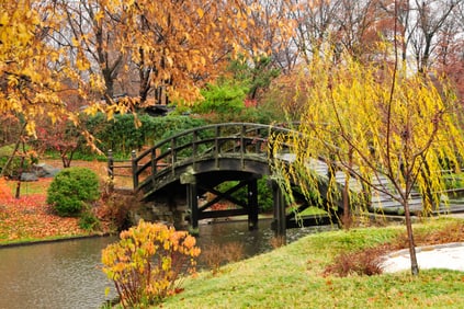 Fall Japanese Garden - Metal Print by Glenn Stokes