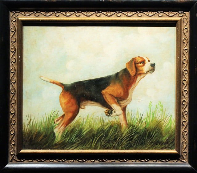 Pointer by Adela Vildoso