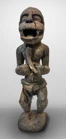 Ivory Coast Monkey 148