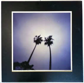 Pinhole 21 Two Palm Trees Photography by Darius