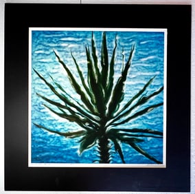 Pinhole Untitled Trees Photography by Darius