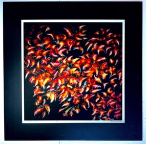 Pinhole Untitled Trees Photography by Darius