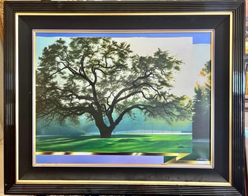 Tranquility by Frank Licsko