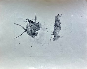 Storing Up by Andrew Wyeth