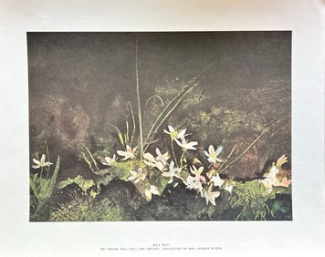 May Day by Andrew Wyeth