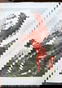 PowerPlay by G.H. Rothe